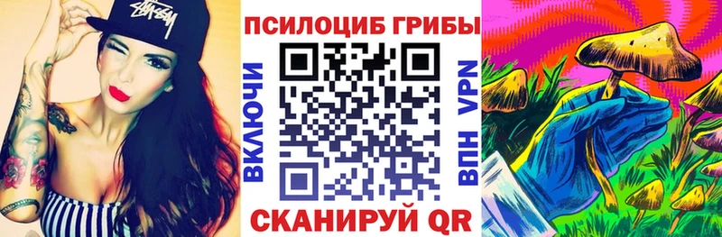 Псилоцибиновые грибы Psilocybe  Николаевск-на-Амуре 